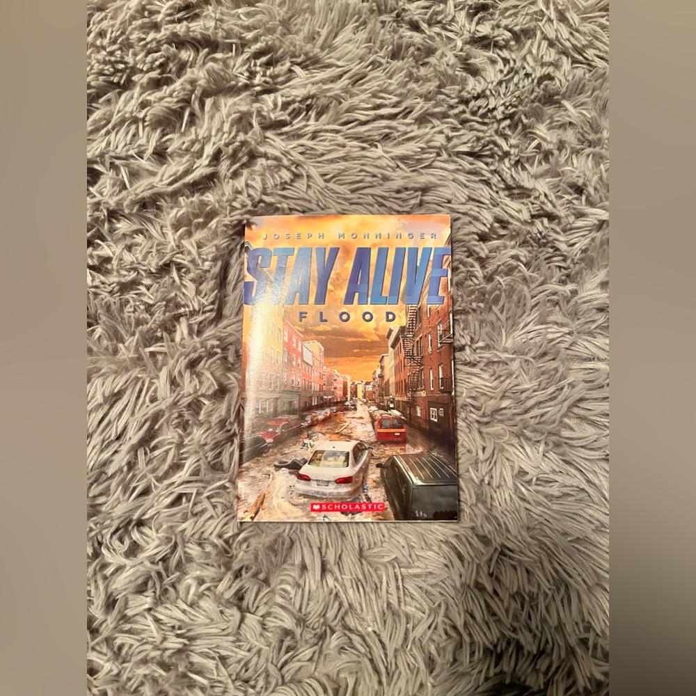 5 Books - Picture 5 of 10